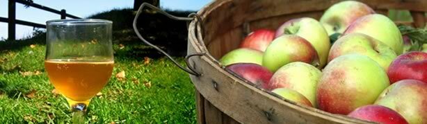 applesglass applesglass