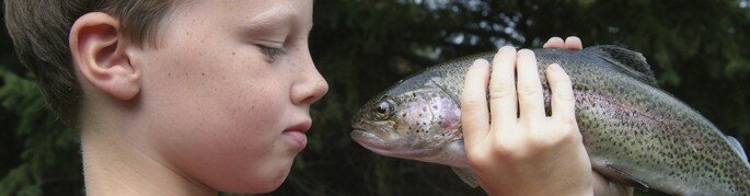 panoglenfish panoglenfish