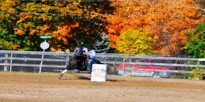 02010 101010 advocate erin fall fair d 014