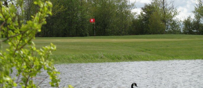 Signature Hole #8 Signature Hole #8