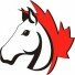 Logo for Caledon Equestrian Park - Equestrian Management Group Inc.