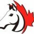 Logo for Caledon Equine Hospital